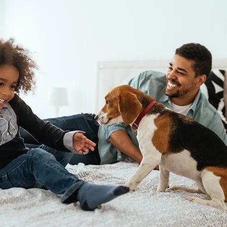 Chateau Belmont By The Crest Collection