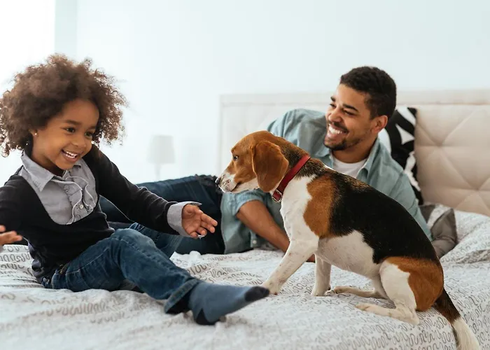 Chateau Belmont By The Crest Collection